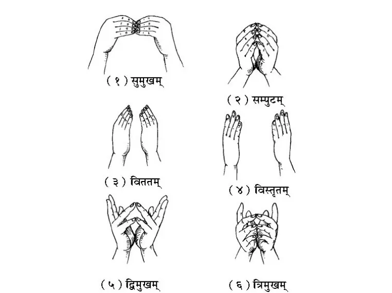 First 6 mudras